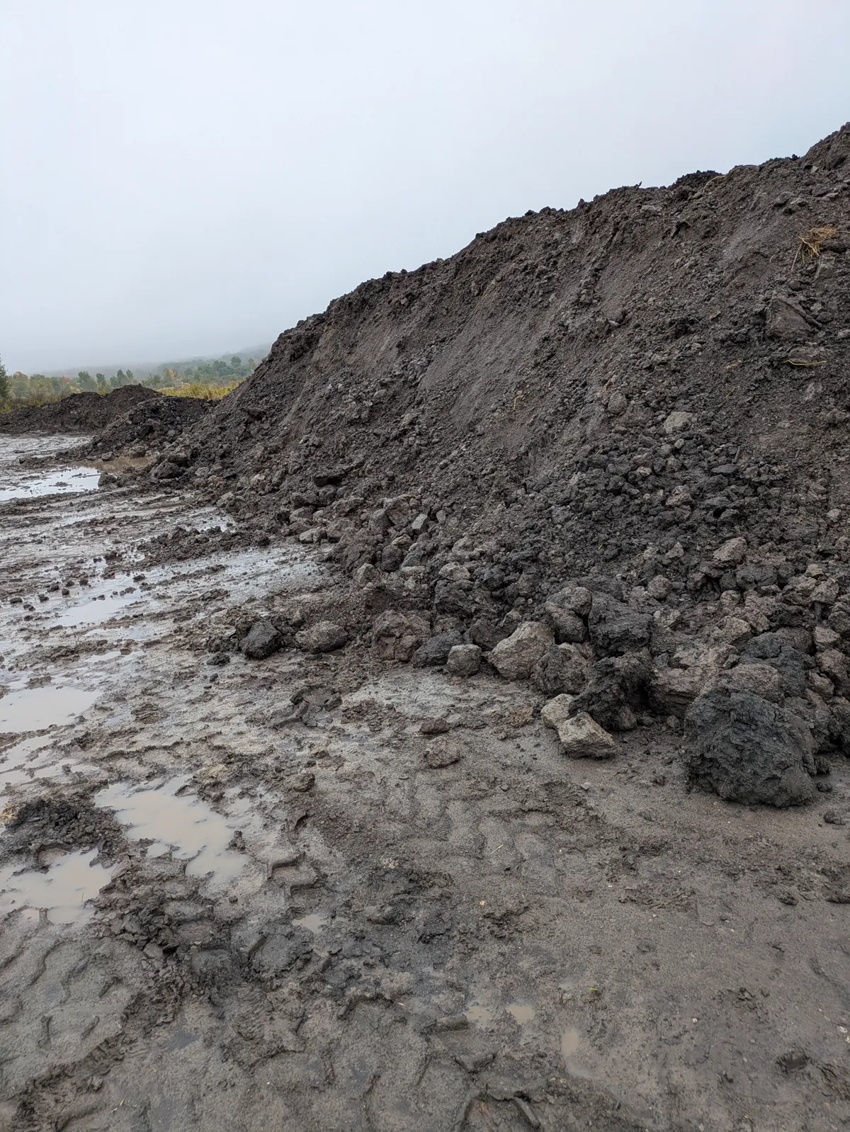 Peat deposit at the Mariaville mine site, September 2025