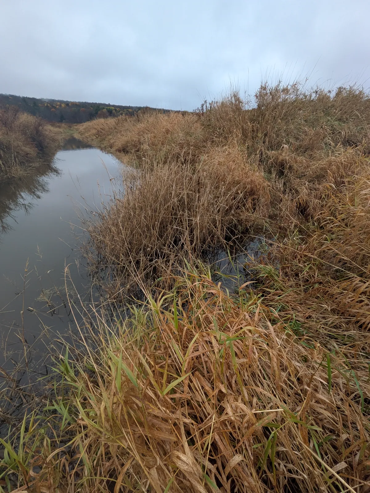 Dark peat humus stockpile at the mine site